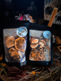 Cozy Simmer Pots Handcrafted in Small Batches